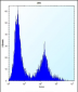 CLEC3B Antibody (Center)